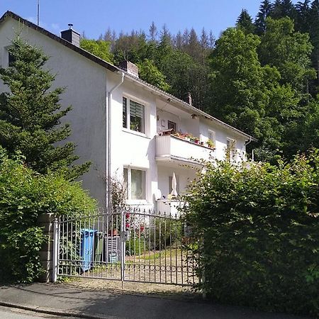 Ferienwohnung Steinatal Bad Sachsa Exterior foto