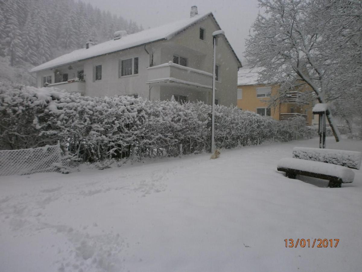 Ferienwohnung Steinatal Bad Sachsa Exterior foto